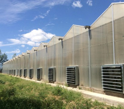 Solar panel greenhouse