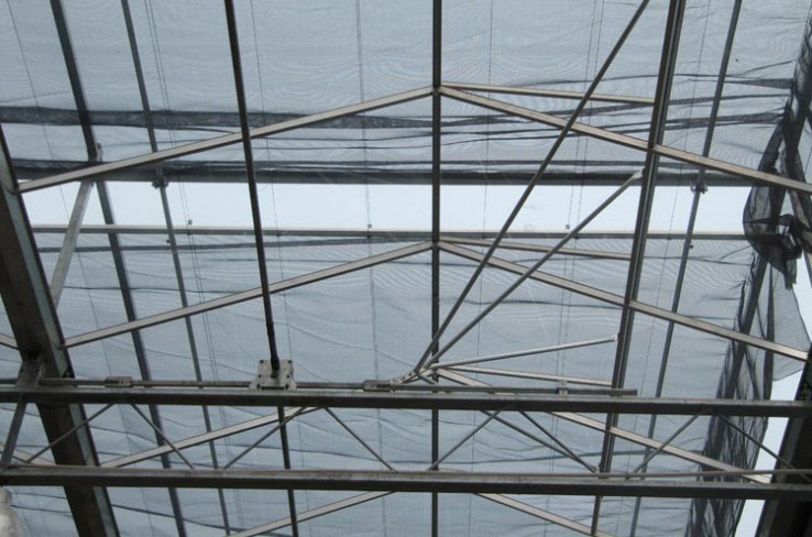 Solar panel greenhouse